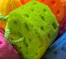 Load image into Gallery viewer, Rub A Dub Dub Sponge
