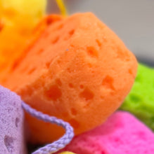 Load image into Gallery viewer, Rub A Dub Dub Sponge
