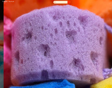 Load image into Gallery viewer, Rub A Dub Dub Sponge
